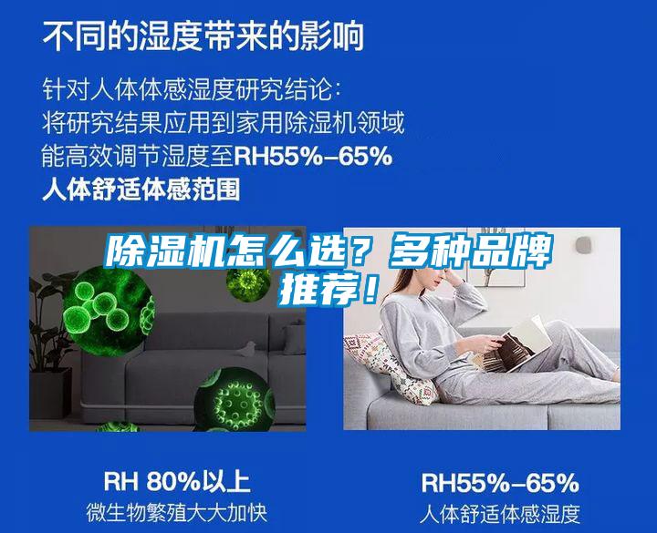 除濕機怎么選?多種品牌推薦!