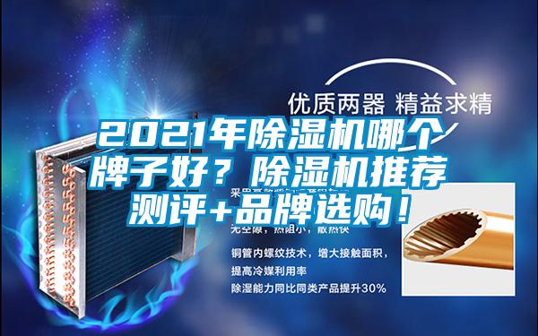 2021年除濕機哪個牌子好？除濕機推薦測評+品牌選購！