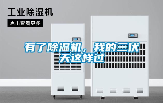 有了除濕機,我的三伏天這樣過