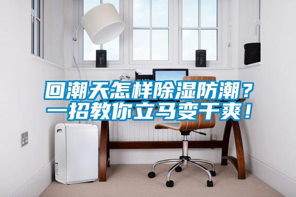 回潮天怎樣除濕防潮？一招教你立馬變干爽！