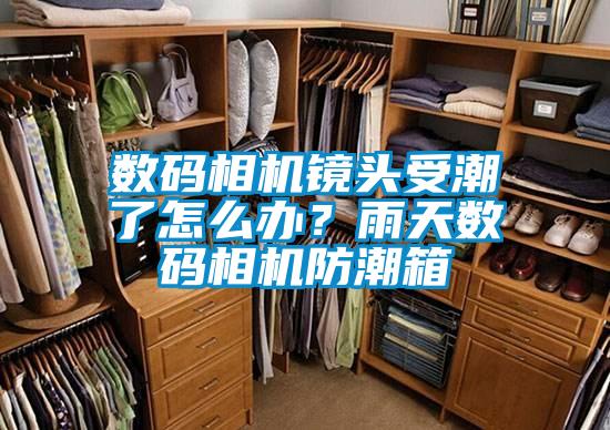 數(shù)碼相機鏡頭受潮了怎么辦?雨天數(shù)碼相機防潮箱