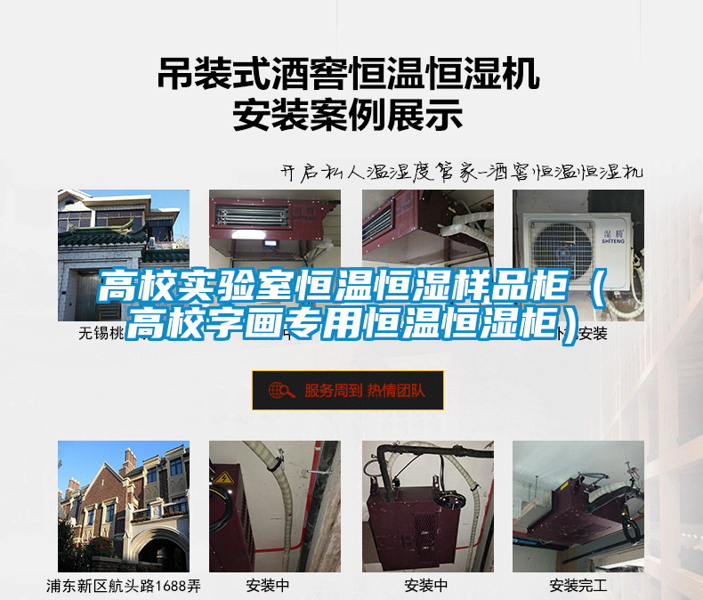 高校實驗室恒溫恒濕樣品柜(高校字畫專用恒溫恒濕柜)