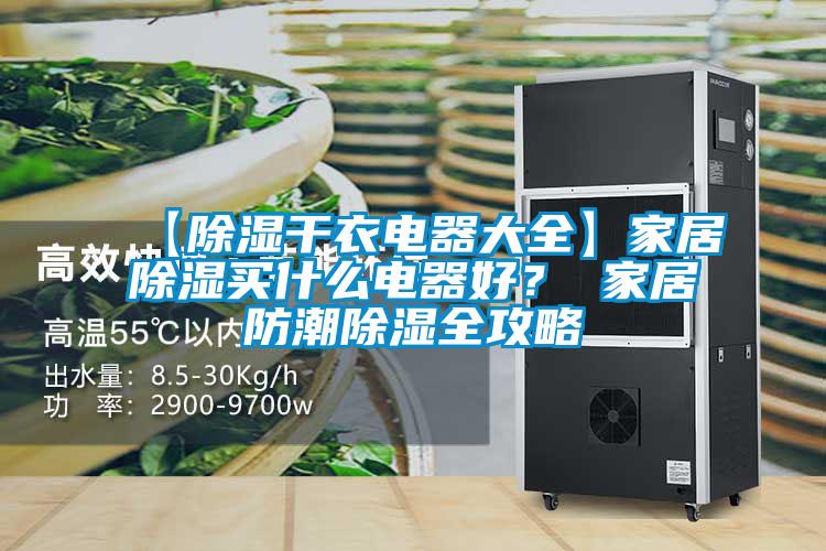 【除濕干衣電器大全】家居除濕買什么電器好？ 家居防潮除濕全攻略