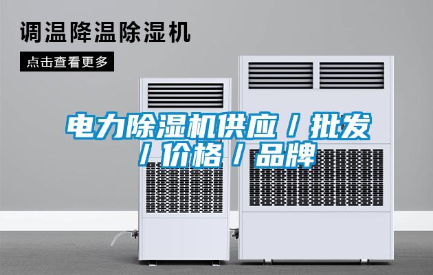 電力除濕機(jī)供應(yīng)/批發(fā)/價(jià)格/品牌