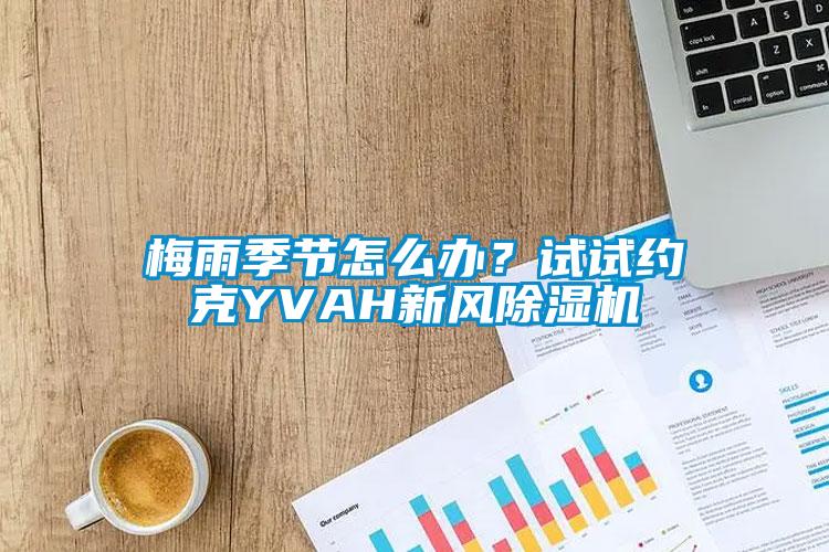 梅雨季節(jié)怎么辦？試試約克YVAH新風(fēng)除濕機(jī)