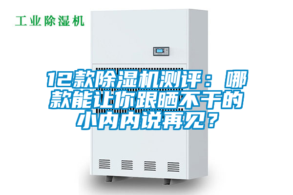 12款除濕機(jī)測評:哪款能讓你跟曬不干的小內(nèi)內(nèi)說再見?