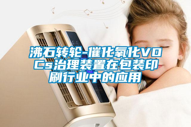 沸石轉(zhuǎn)輪-催化氧化VOCs治理裝置在包裝印刷行業(yè)中的應用
