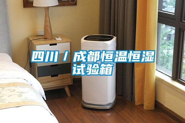 四川/成都恒溫恒濕試驗箱
