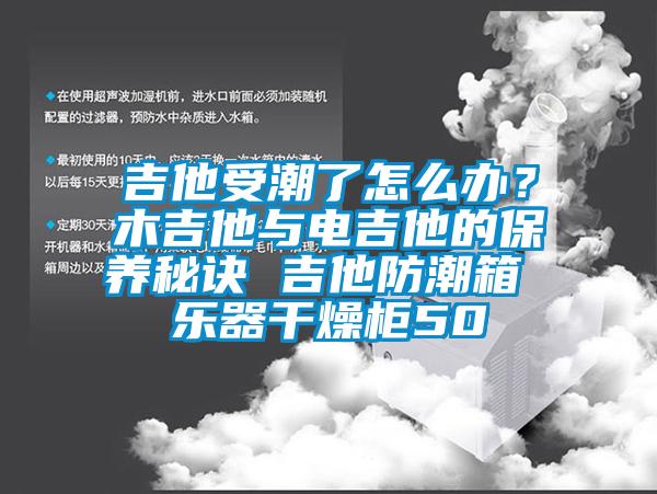 吉他受潮了怎么辦?木吉他與電吉他的保養秘訣 吉他防潮箱 樂器干燥柜50