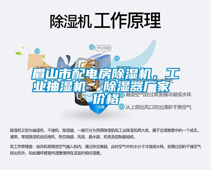眉山市配電房除濕機，工業抽濕機  除濕器廠家 價格