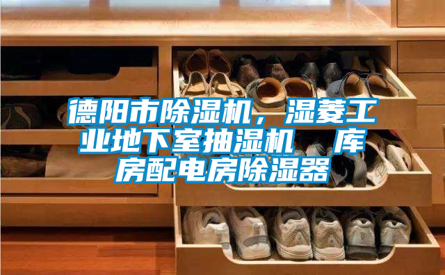 德陽市除濕機，濕菱工業(yè)地下室抽濕機  庫房配電房除濕器