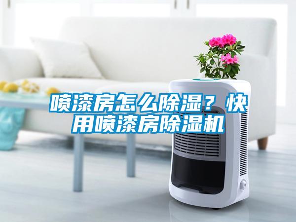 噴漆房怎么除濕？快用噴漆房除濕機(jī)