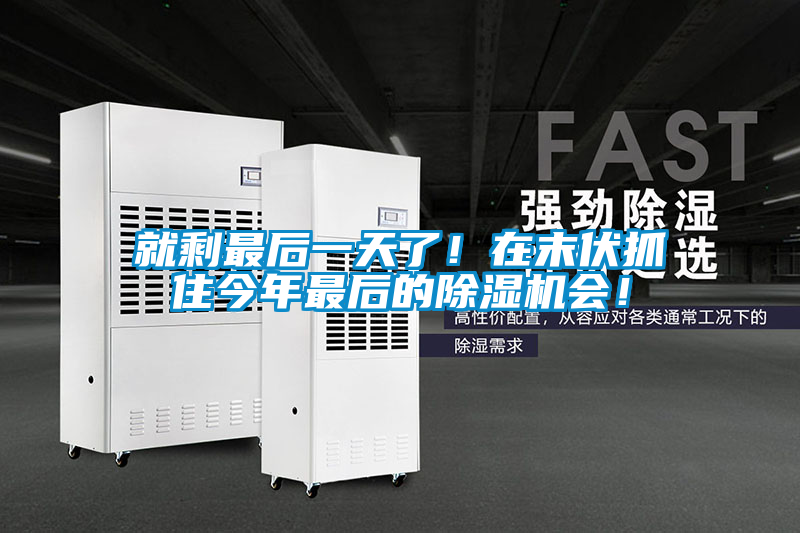 就剩最后一天了!在末伏抓住今年最后的除濕機會!