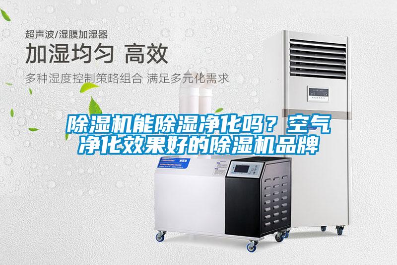 除濕機(jī)能除濕凈化嗎？空氣凈化效果好的除濕機(jī)品牌