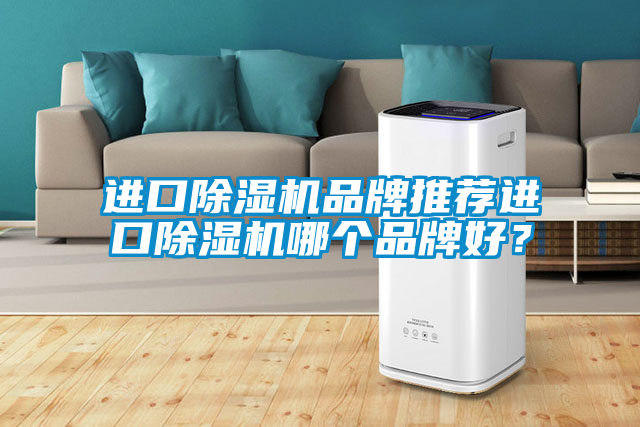 進口除濕機品牌推薦進口除濕機哪個品牌好？