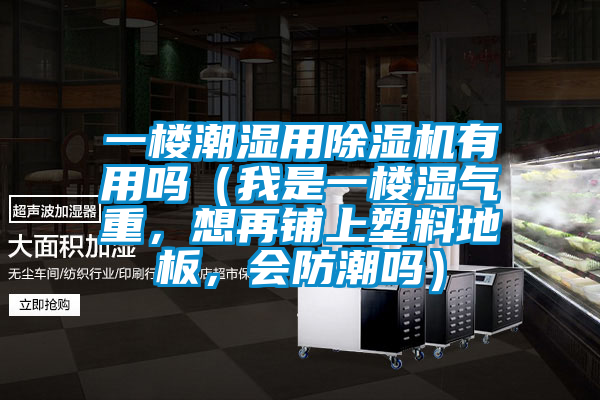 一樓潮濕用除濕機(jī)有用嗎（我是一樓濕氣重，想再鋪上塑料地板，會防潮嗎）