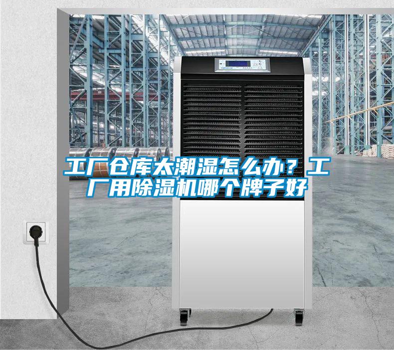 工廠倉庫太潮濕怎么辦?工廠用除濕機哪個牌子好