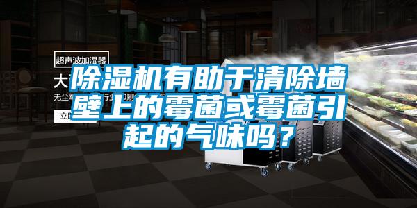 除濕機(jī)有助于清除墻壁上的霉菌或霉菌引起的氣味嗎？