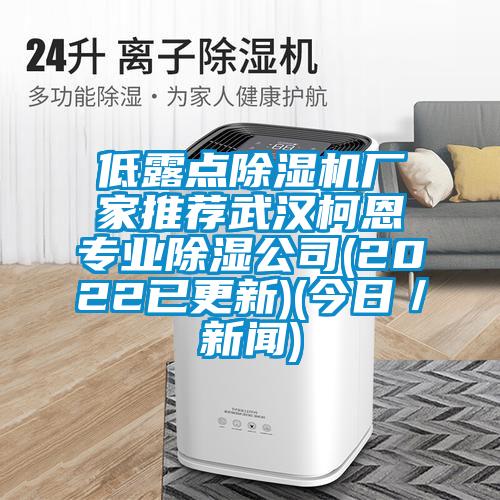 低露點除濕機廠家推薦武漢柯恩專業(yè)除濕公司(2022已更新)(今日/新聞)
