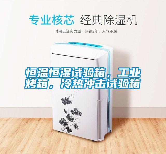 恒溫恒濕試驗箱，工業烤箱，冷熱沖擊試驗箱