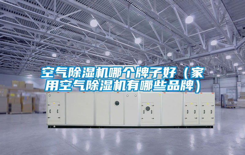 空氣除濕機(jī)哪個(gè)牌子好(家用空氣除濕機(jī)有哪些品牌)