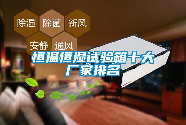 恒溫恒濕試驗(yàn)箱十大廠(chǎng)家排名