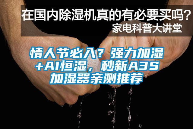 情人節(jié)必入？強力加濕+AI恒濕，秒新A3S加濕器親測推薦