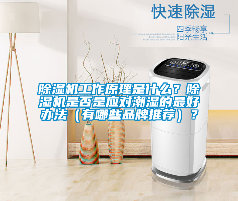 除濕機(jī)工作原理是什么？除濕機(jī)是否是應(yīng)對潮濕的最好辦法（有哪些品牌推薦）？