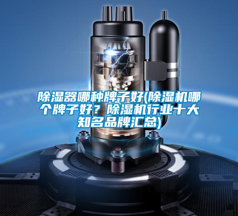 除濕器哪種牌子好(除濕機(jī)哪個(gè)牌子好?除濕機(jī)行業(yè)十大知名品牌匯總)