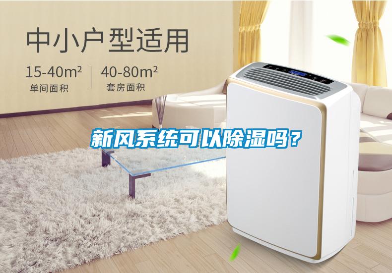 新風(fēng)系統(tǒng)可以除濕嗎？