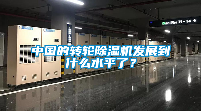 中國(guó)的轉(zhuǎn)輪除濕機(jī)發(fā)展到什么水平了？