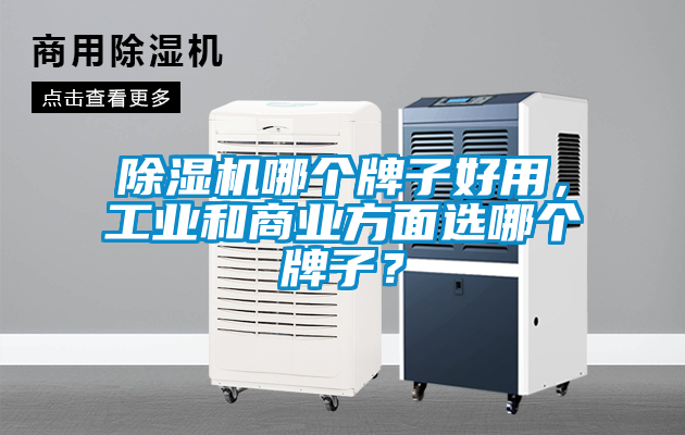 除濕機(jī)哪個牌子好用，工業(yè)和商業(yè)方面選哪個牌子？