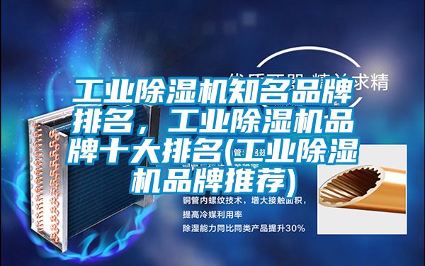 工業(yè)除濕機知名品牌排名,工業(yè)除濕機品牌十大排名(工業(yè)除濕機品牌推薦)