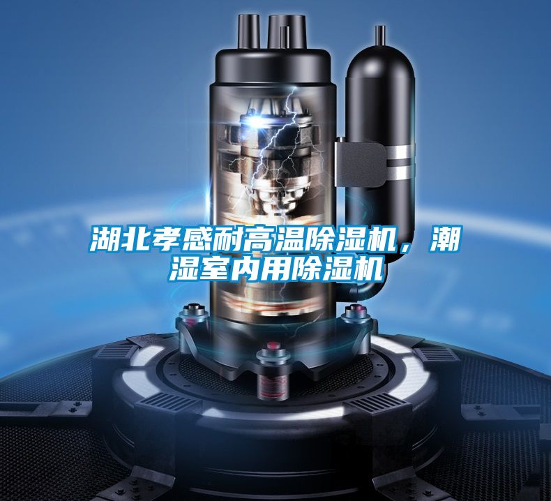 湖北孝感耐高溫除濕機，潮濕室內(nèi)用除濕機