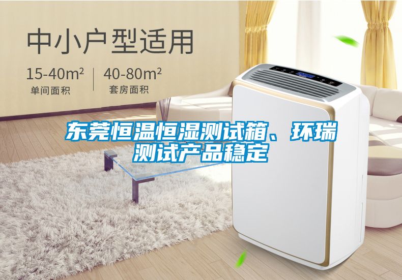 東莞恒溫恒濕測試箱、環瑞測試產品穩定
