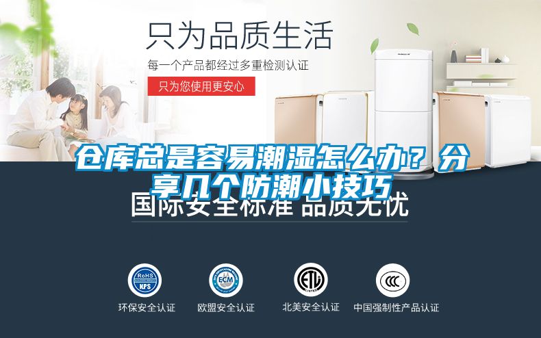倉庫總是容易潮濕怎么辦？分享幾個防潮小技巧