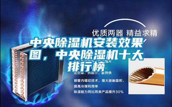 中央除濕機(jī)安裝效果圖，中央除濕機(jī)十大排行榜