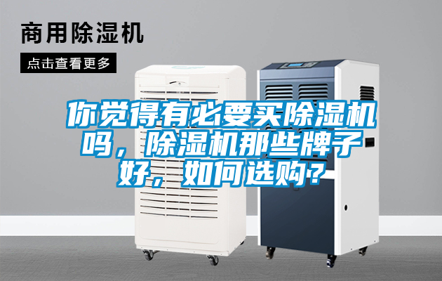 你覺得有必要買除濕機嗎，除濕機那些牌子好，如何選購？