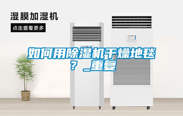 如何用除濕機(jī)干燥地毯？_重復(fù)