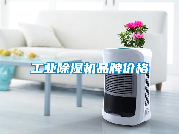 工業(yè)除濕機(jī)品牌價格
