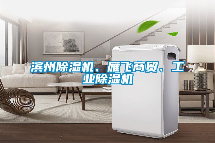 濱州除濕機、雁飛商貿(mào)、工業(yè)除濕機