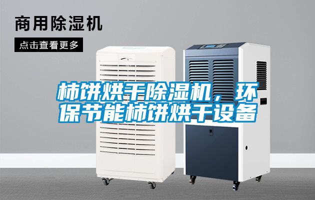 柿餅烘干除濕機,環保節能柿餅烘干設備