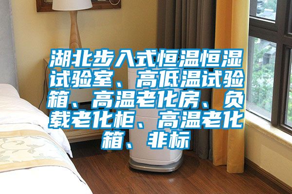 湖北步入式恒溫恒濕試驗(yàn)室、高低溫試驗(yàn)箱、高溫老化房、負(fù)載老化柜、高溫老化箱、非標(biāo)