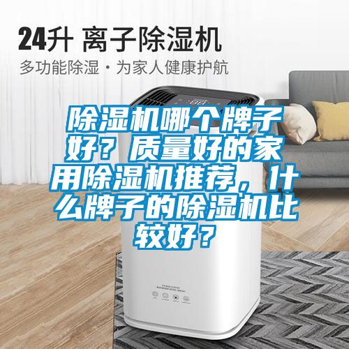 除濕機哪個牌子好？質量好的家用除濕機推薦，什么牌子的除濕機比較好？