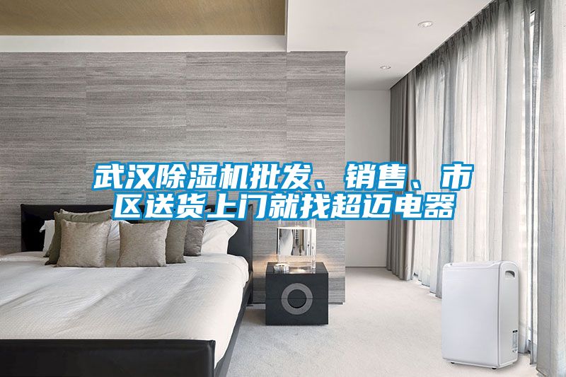 武漢除濕機批發、銷售、市區送貨上門就找超邁電器
