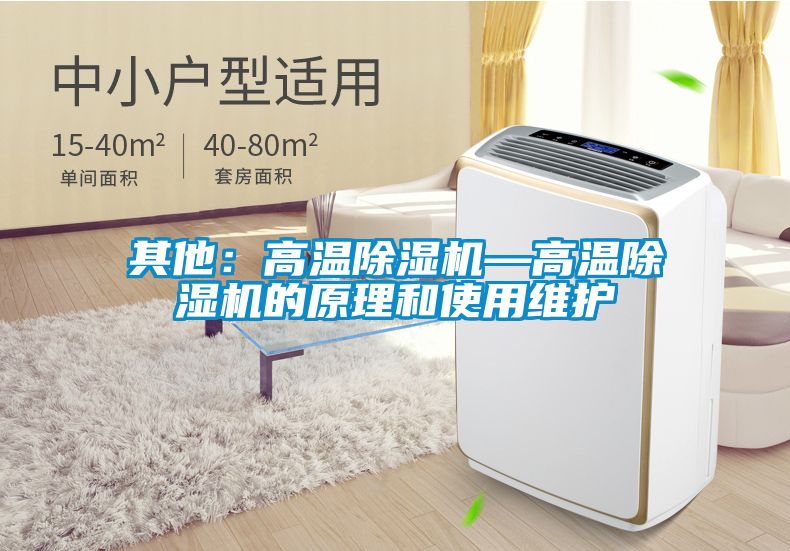 其他:高溫除濕機(jī)—高溫除濕機(jī)的原理和使用維護(hù)