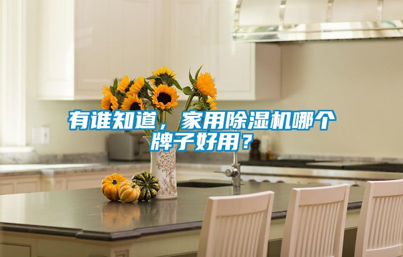 有誰(shuí)知道,家用除濕機(jī)哪個(gè)牌子好用?