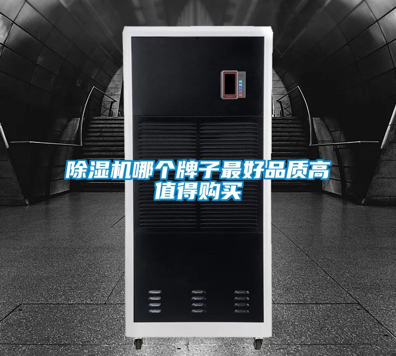 除濕機(jī)哪個牌子最好品質(zhì)高值得購買