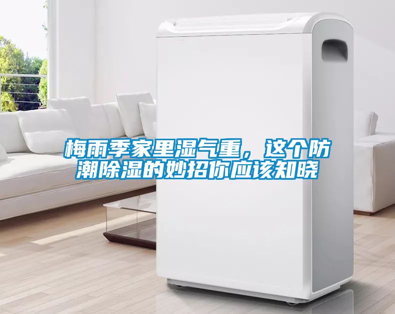 梅雨季家里濕氣重，這個防潮除濕的妙招你應該知曉