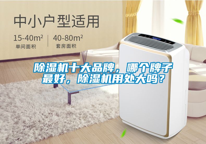除濕機(jī)十大品牌,哪個(gè)牌子最好,除濕機(jī)用處大嗎?